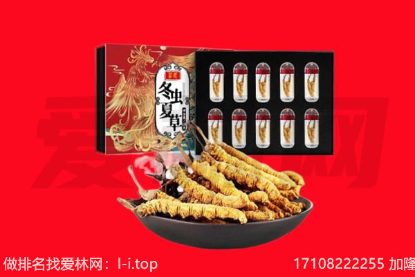 苏州市相城回收虫草.jpg